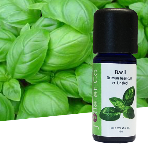 Sweet Basil Essential Oil j Olie et Co