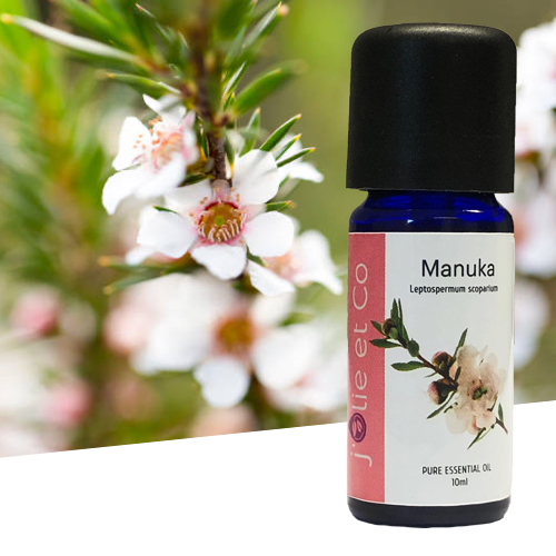 Manuka essential deals oil