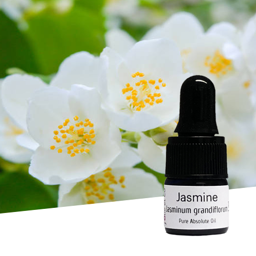 Essential 2024 oil jasmine